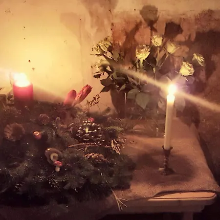 Homestay Historischezimmer *